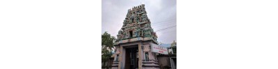 நங்கநல்லூர்